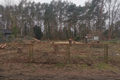 Abbruch-Erdbau-Tim-Wolter-11